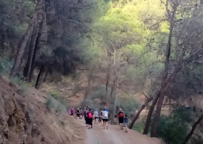 Grupo de senderistas caminando por un camino forestal en los alrededores de Casa Loire, Málaga